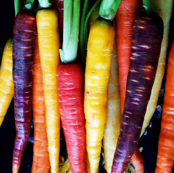 Food Coop Rainbow carrots