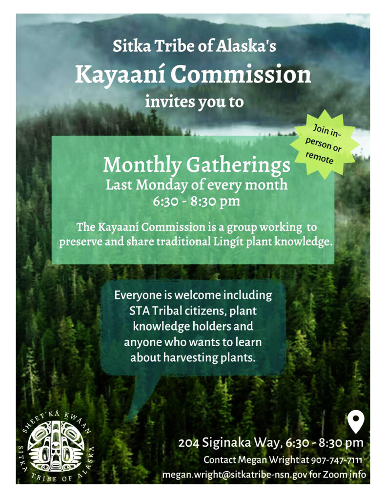 Kayaani Commission Aug 28