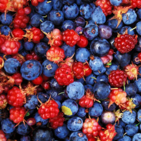 Berries SQUARE from Yakutat article